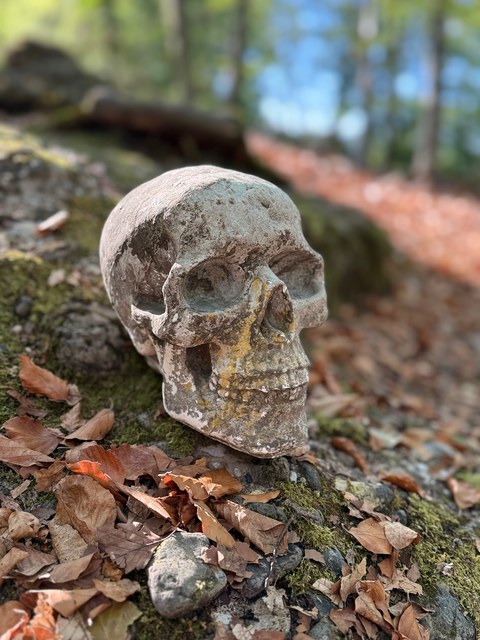 Crâne décoratif en pierre posé sur un rocher moussu, entouré de feuilles d'automne en forêt